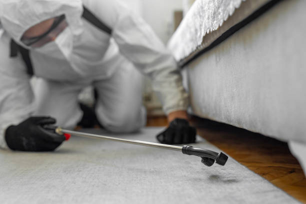 Professional Bed Bug Control technician working in Stewartville, MN