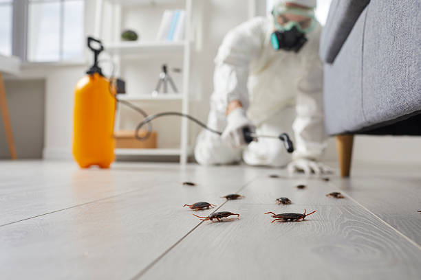 Trusted Rodent Control service in Stewartville, MN - Nex Pest Control