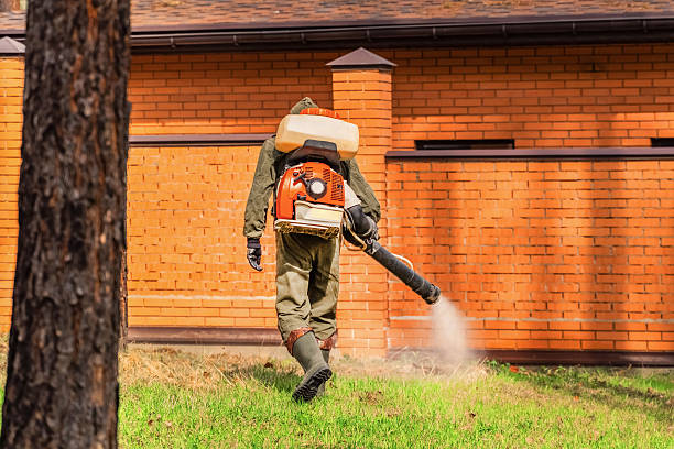 Trusted Termite Control service in Stewartville, MN - Nex Pest Control